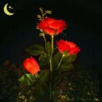 LAST DAY 50% OFF - SPRING ARTIFICIAL ROSE SOLAR GARDEN STAKE LIGHTS