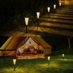 Solar Outdoor Lights,Solar Landscape Garden Powered Pathway Lights Warm/White Switch Auto On/Off Waterproof LED Path Lighting for Garden Walkway Yard