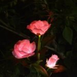 LAST DAY 50% OFF - SPRING ARTIFICIAL ROSE SOLAR GARDEN STAKE LIGHTS
