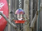 No Drip - Bee Proof Bird Feeder