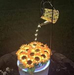 The Enchanted Watering Can?- Solar Waterfall Lights?