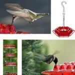 [Last Day 75%OFF]Mary's Sweety Hummingbird Feeder With Perch And Built-in Ant Moat