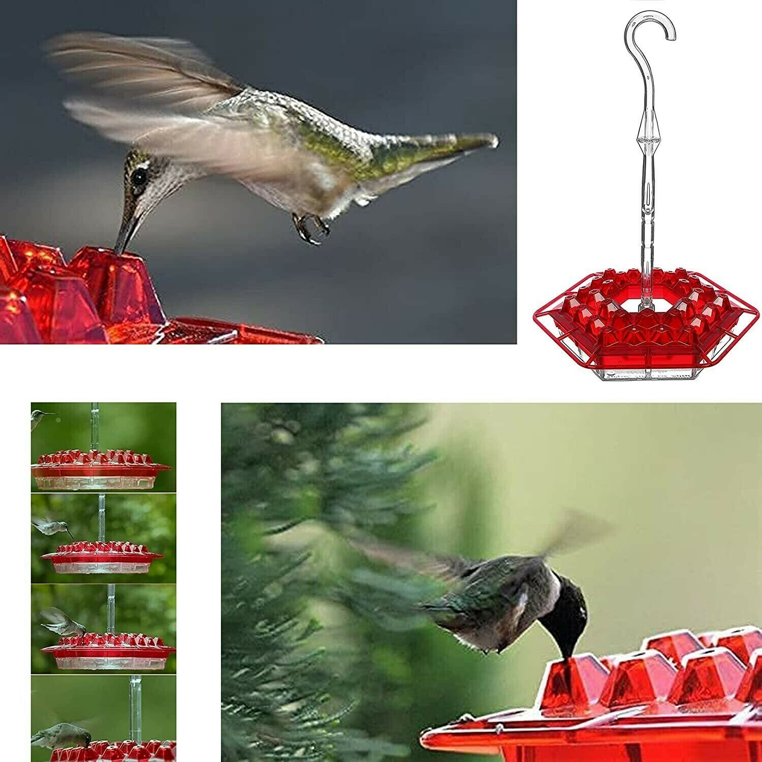 [Last Day 75%OFF]Mary's Sweety Hummingbird Feeder With Perch And Built-in Ant Moat