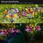 🔥Last Day Special Sale 70% OFF - Solar Stake Lights Butterflies Decor Lights