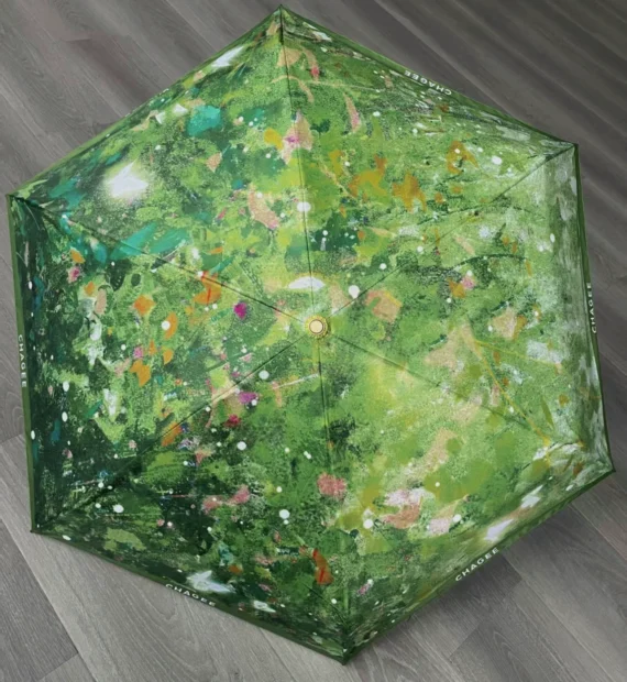 𝑪𝑯𝑨𝑮𝑬𝑬 Umbrella Collection